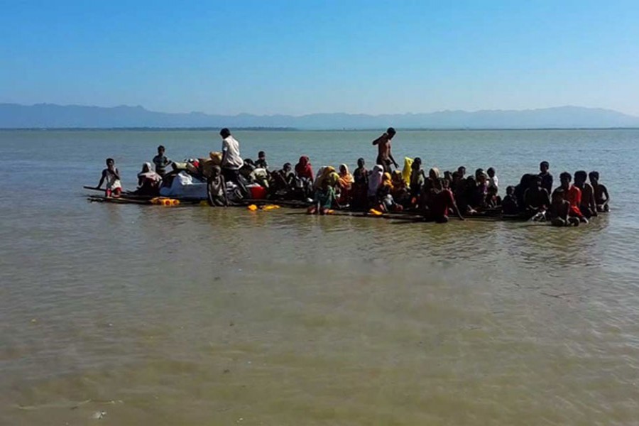 Rohingya influx: 550 more arrive on rafts