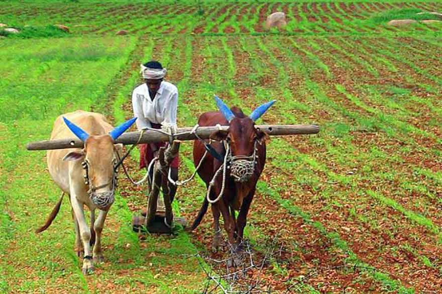 Poverty of small farms   