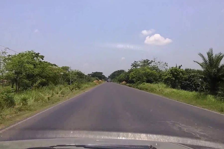 Planting trees along Rajshahi-Dhaka highway   