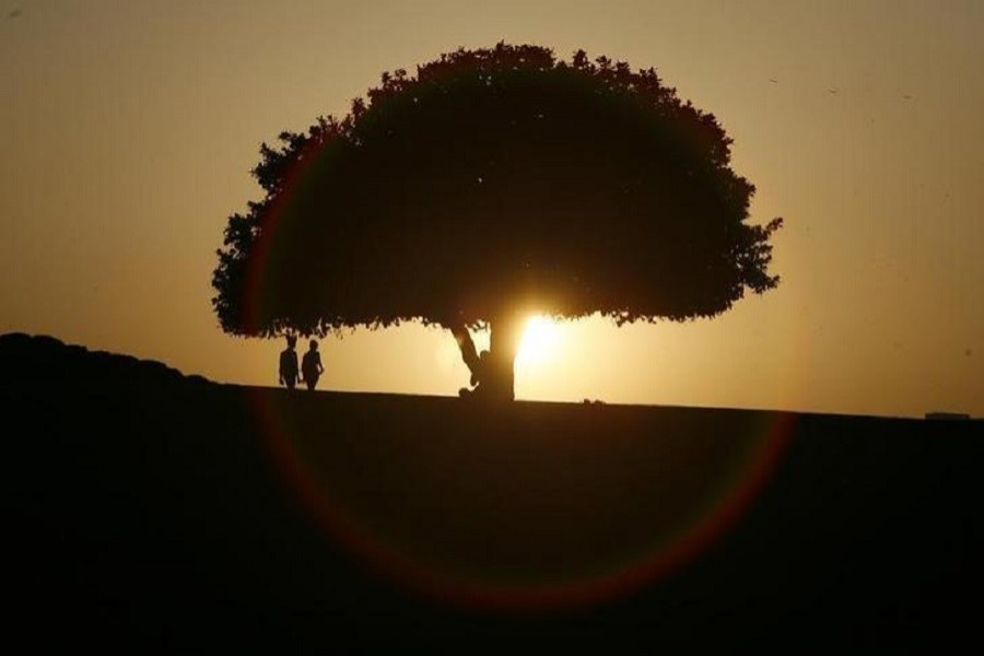 People are silhouetted against the setting sun at a park in New Delhi, March 10, 2010. Reuters/Files