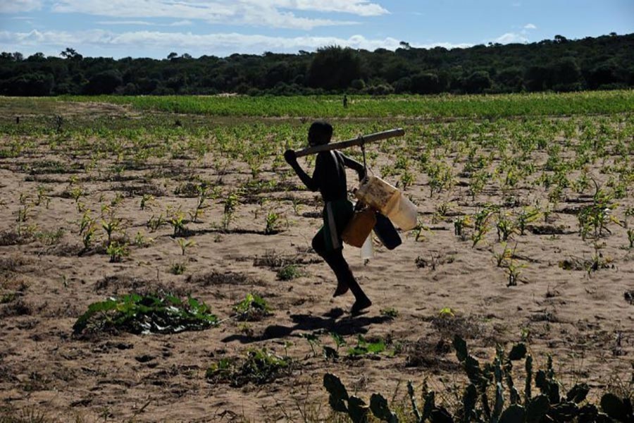 Madagascar is one of the world’s poorest countries, even though it has reserves of nickel, cobalt, gold, uranium, and other minerals. - Internet photo