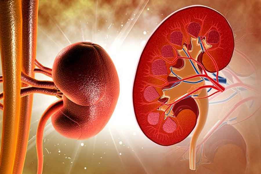 Kidney disease increases risk of diabetes: Study