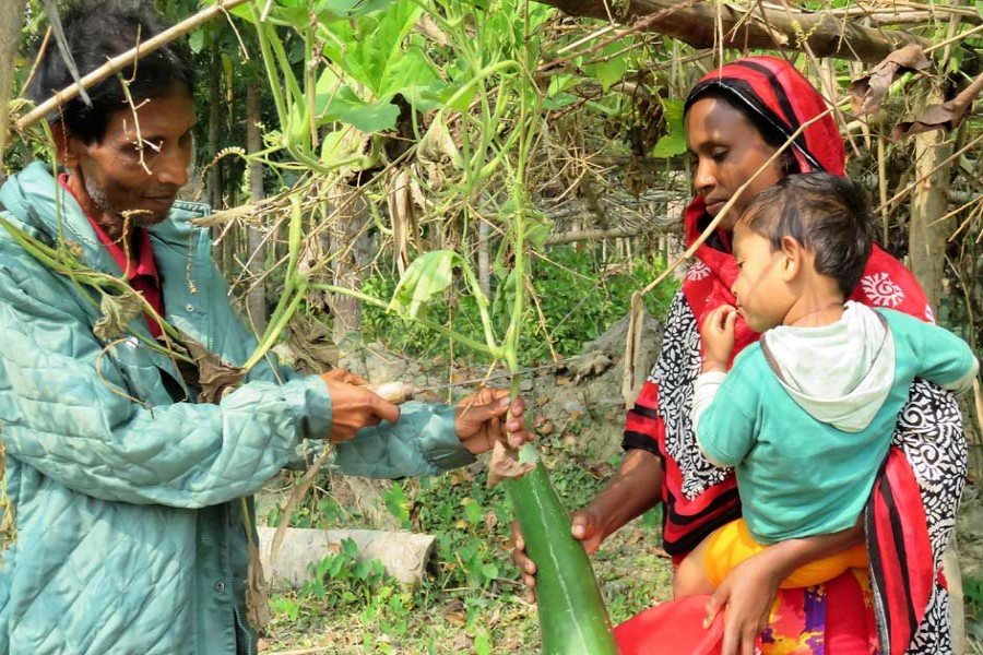 Nutritional status of rural Bangladesh