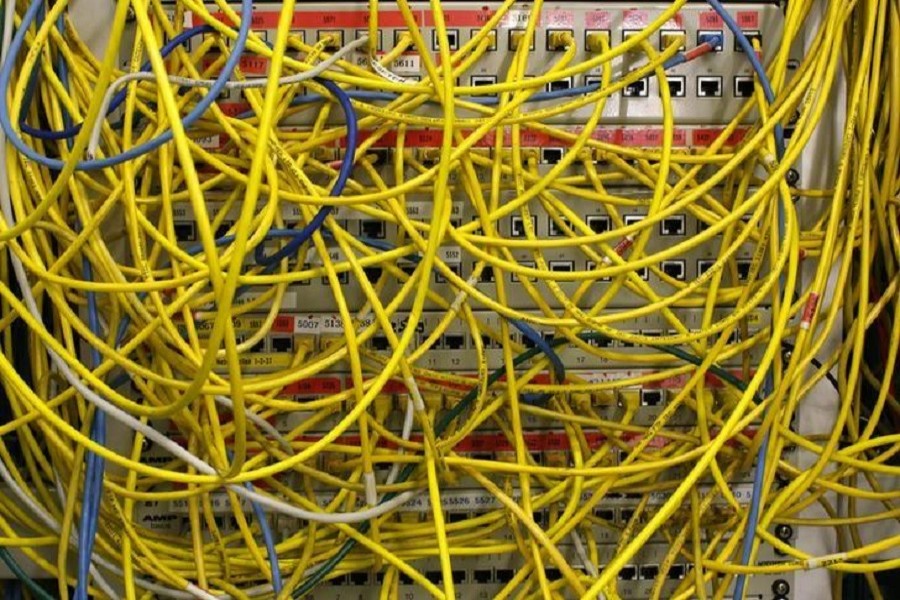 Ethernet cables used for internet connections are pictured in a Berlin office, August 20, 2014. Reuters/File Photo