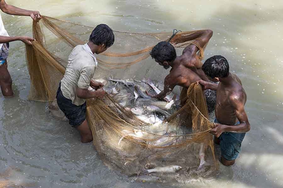 Subsidies in fisheries: Anomalies in WTO documents