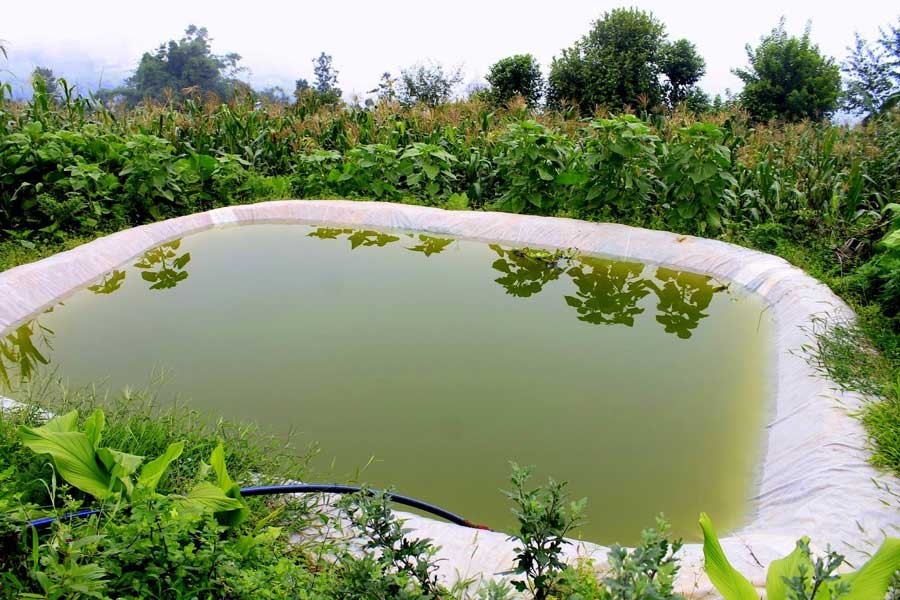 Govt to preserve rainwater in ponds to supply pure water