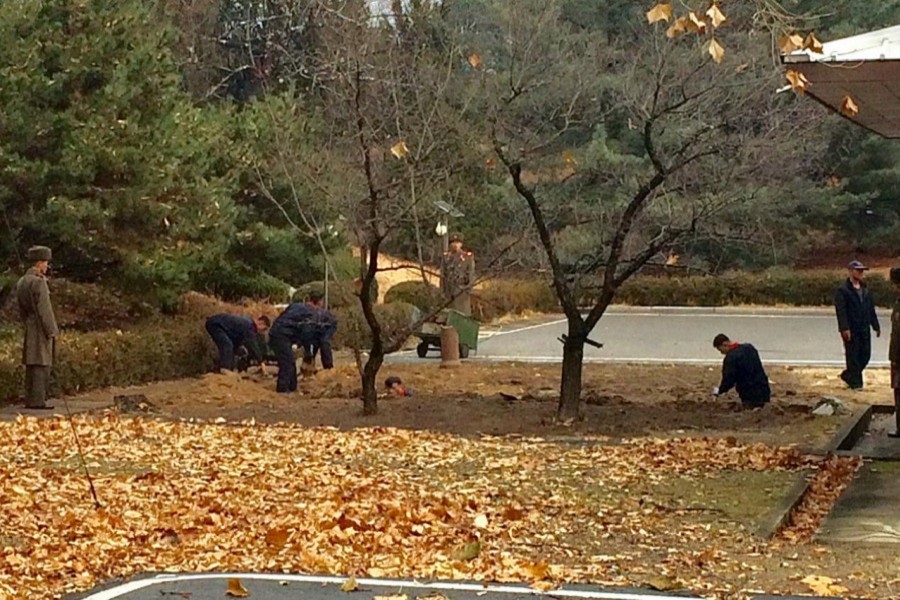 North Korean soldiers dig a trench and plant trees at the Demilitarised Zone (DMZ) dividing North Korea and South Korea November 22, 2017. Handout via Reuters