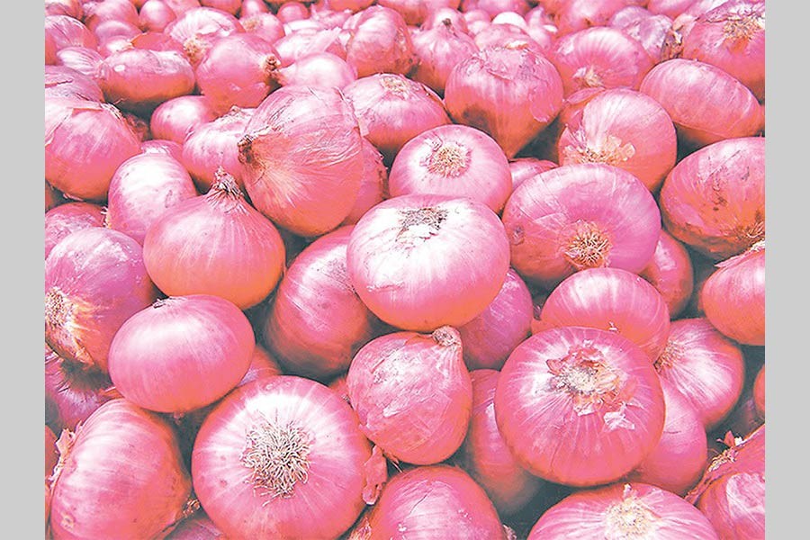 New harvest to push onion prices down: Traders