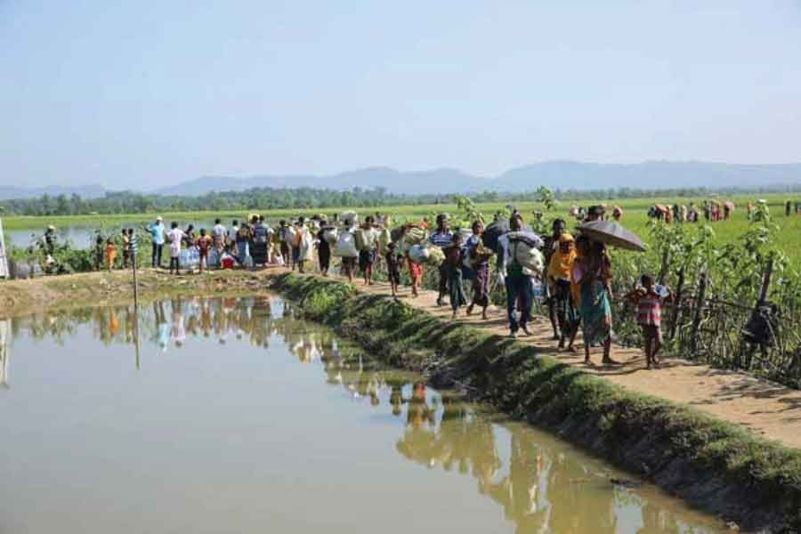 Rohingya refugees cross the border into Bangladesh.     —Credit: Olivia Headon, UN Migration Agency (IOM), 2017.