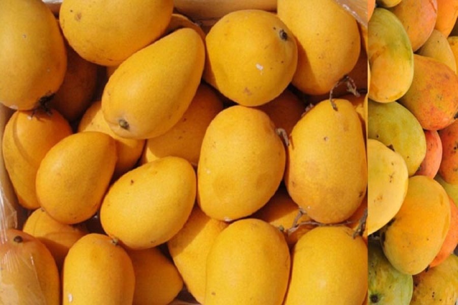 Mango production sees drop in 2017