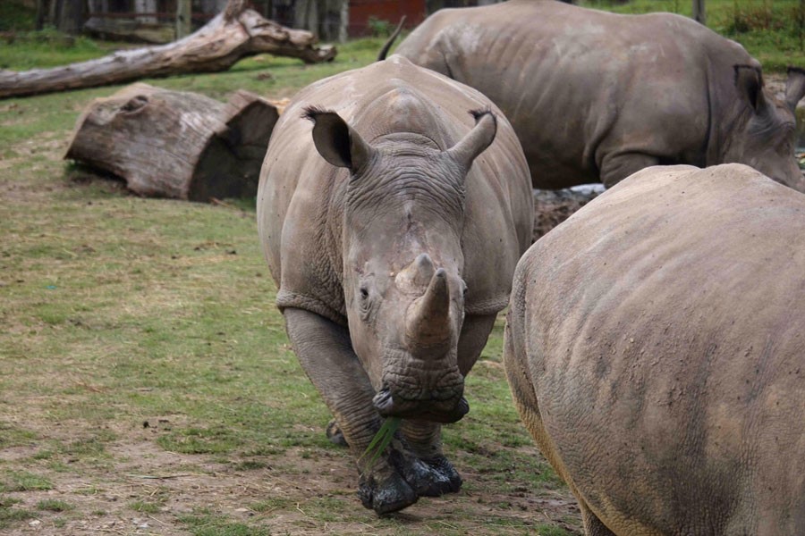 Reuters photo used for representational purpose