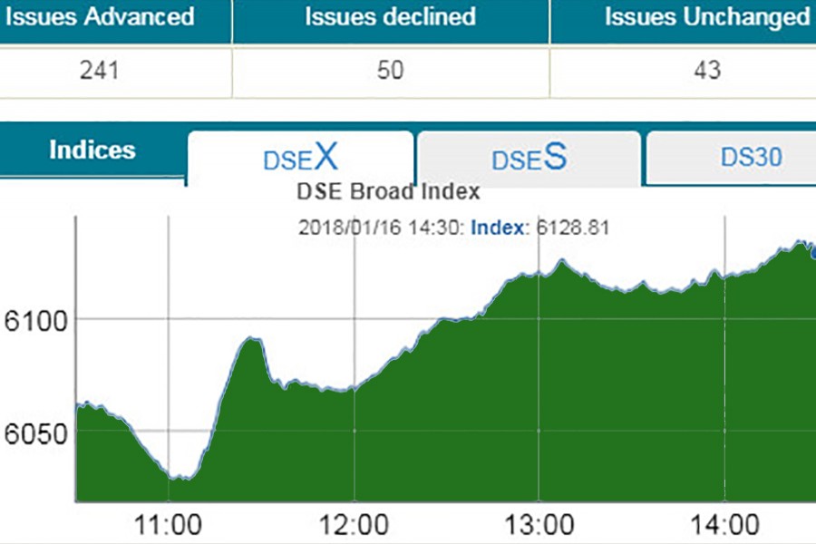 DSE, CSE rebound strongly