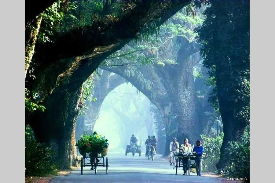 THE JESSORE ROAD: Millions of souls nineteen seventy one/ homeless on Jessore road under grey sun/ A million are dead, the million who can/ Walk toward Calcutta from East Pakistan 	— Allen Ginsberg