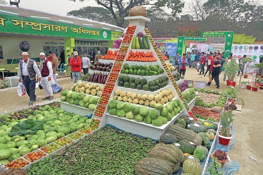 Tapping the vegetable virtues   