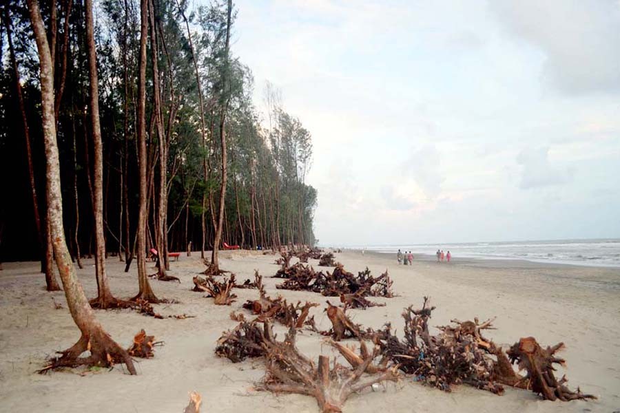 Cox's Bazar environment under threat   