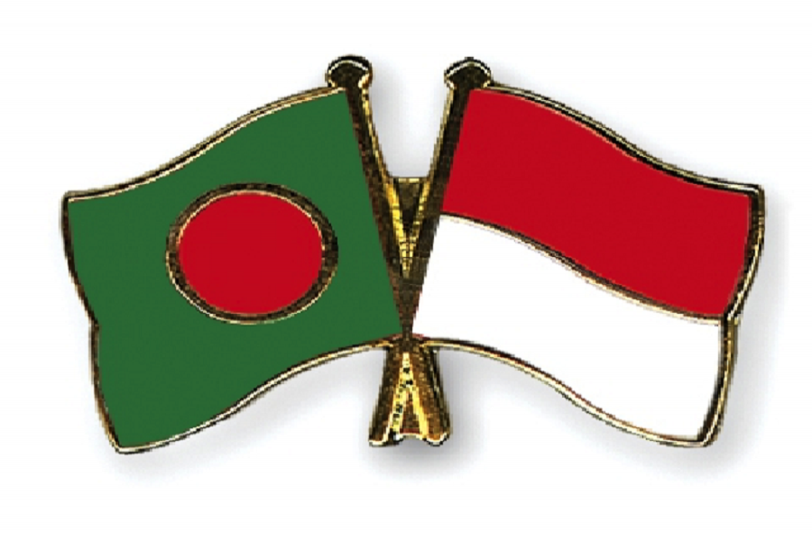 Indonesian President Widodo meets Hasina for talks