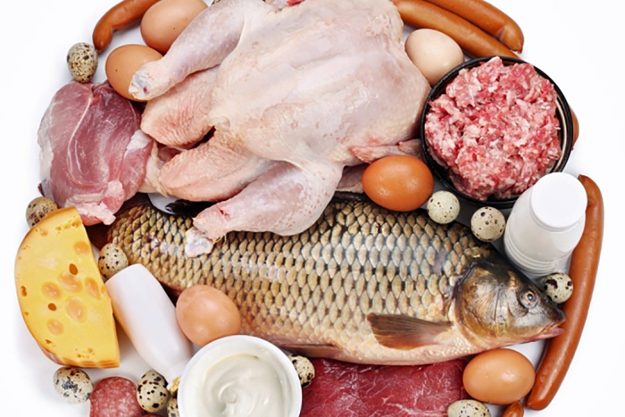 Rising production of protein foods