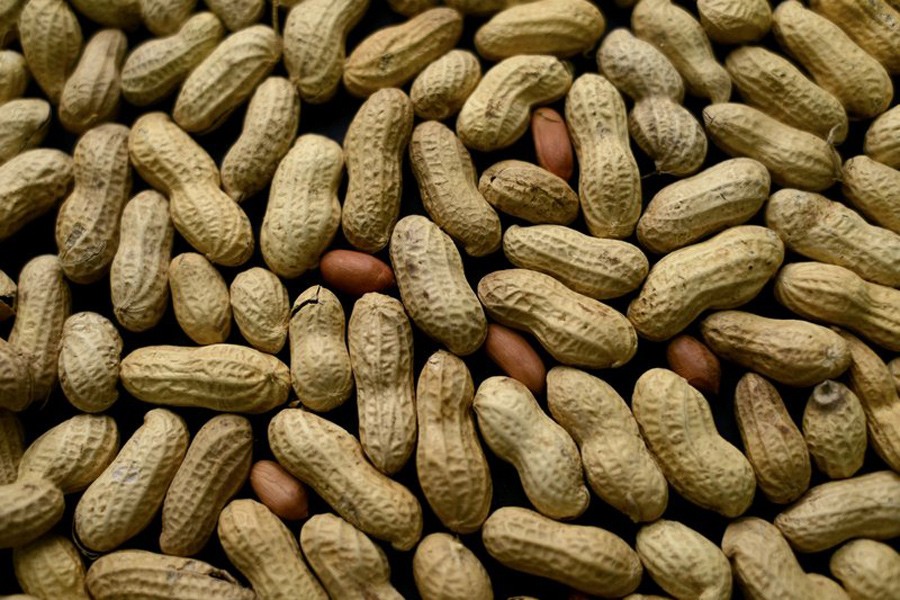 Preventive treatment for peanut allergies succeeds in study