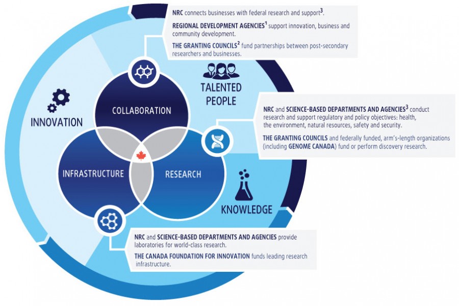 Technology strategy for developing countries