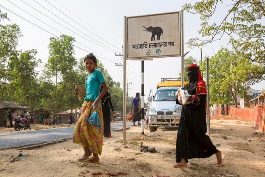 UNHCR acts to protect Rohingyas from elephant attacks