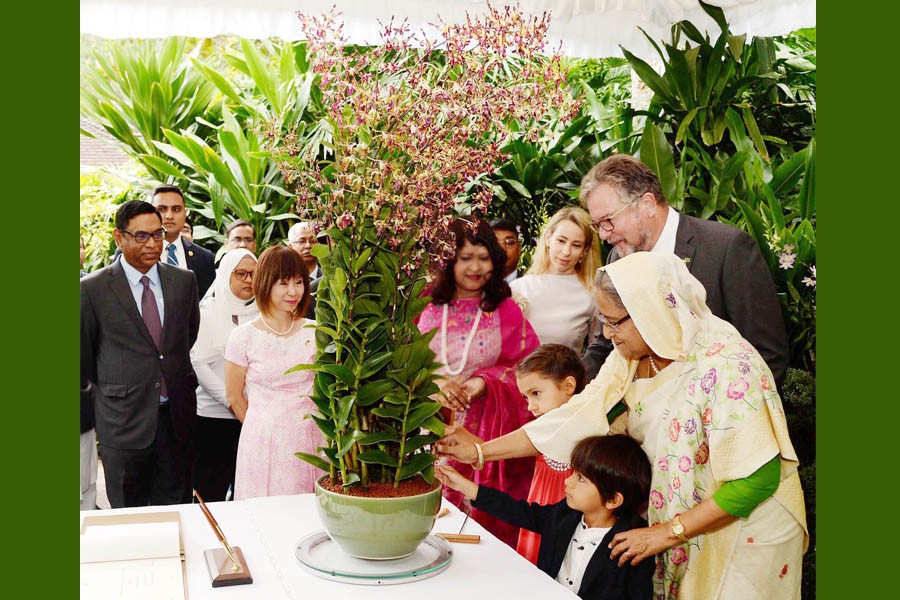PM unveils orchid 'Dendrobium Sheikh Hasina'