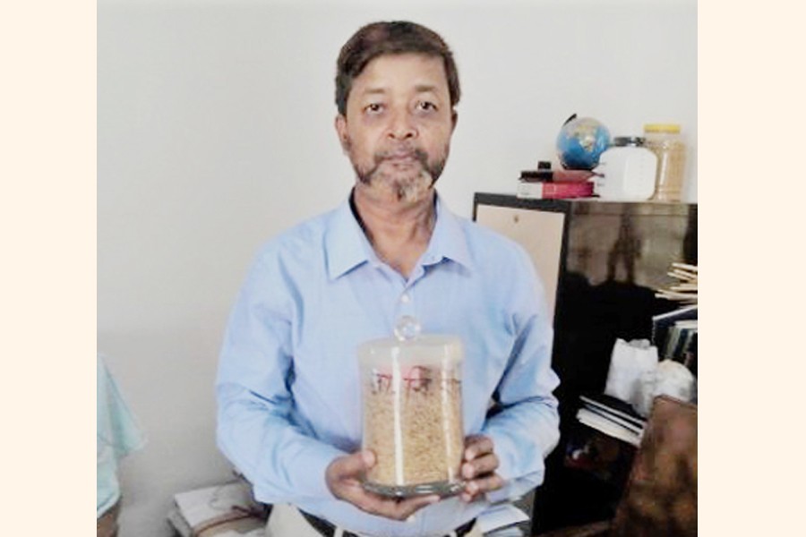 RU prof innovates new paddy  variety ‘Rabi Dhan-1’
