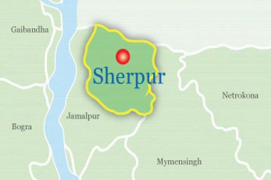 Elephant found dead in Sherpur