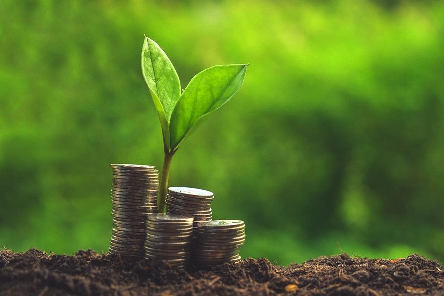 Global climate fund seeks legal immunity, tax waiver