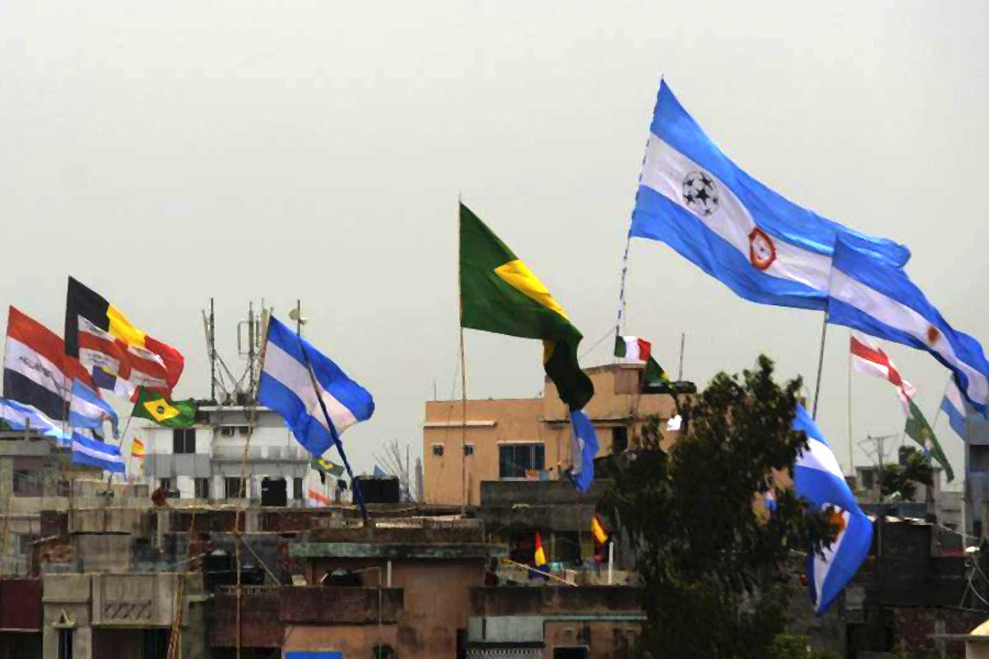 Writ seeks ban on hoisting foreign flags