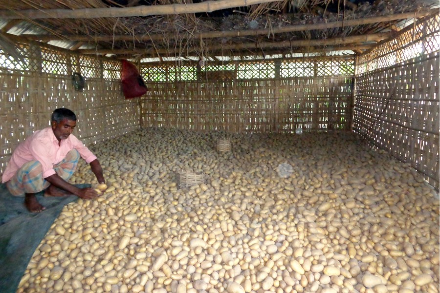 A view of a natural cold storage in Pairaband area under Mithapukur upazila in Rangpur district 	— FE Photo