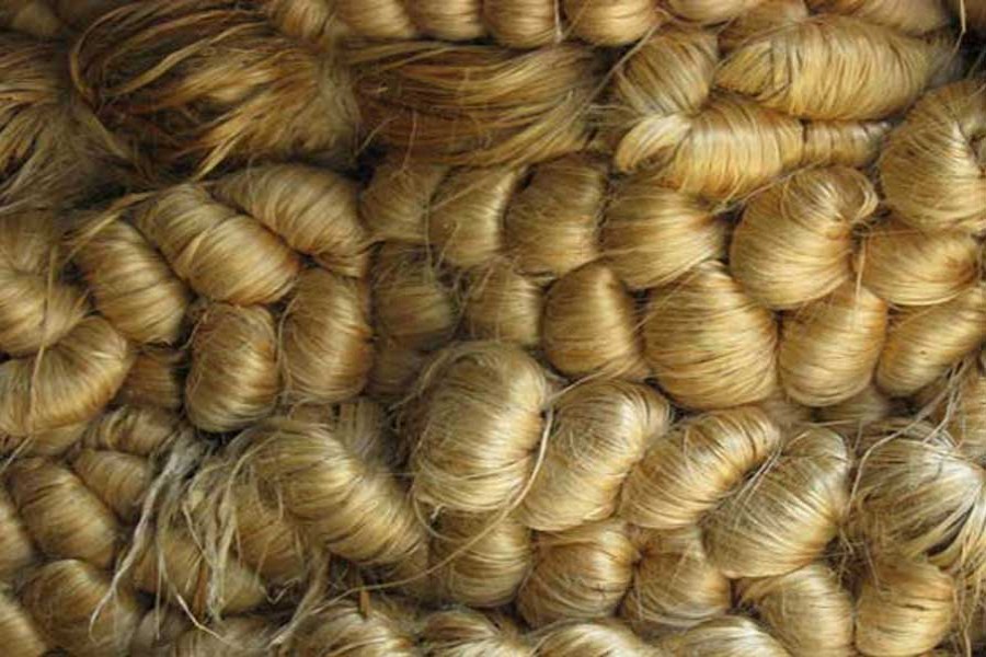 Export of jute, jute goods witness steady growth