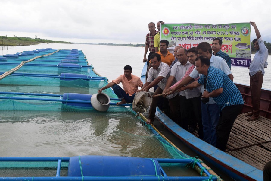 The inaugural ceremony of fish cultivation in cages in Modhumoti river under Mohammadpur upazila of Magura in progress recently 	— FE Photo