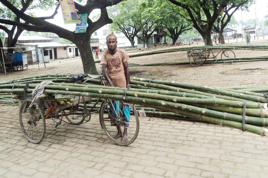 A vendor waiting with bamboos on his van for customers in Bogura on Wednesday 	— FE Photo