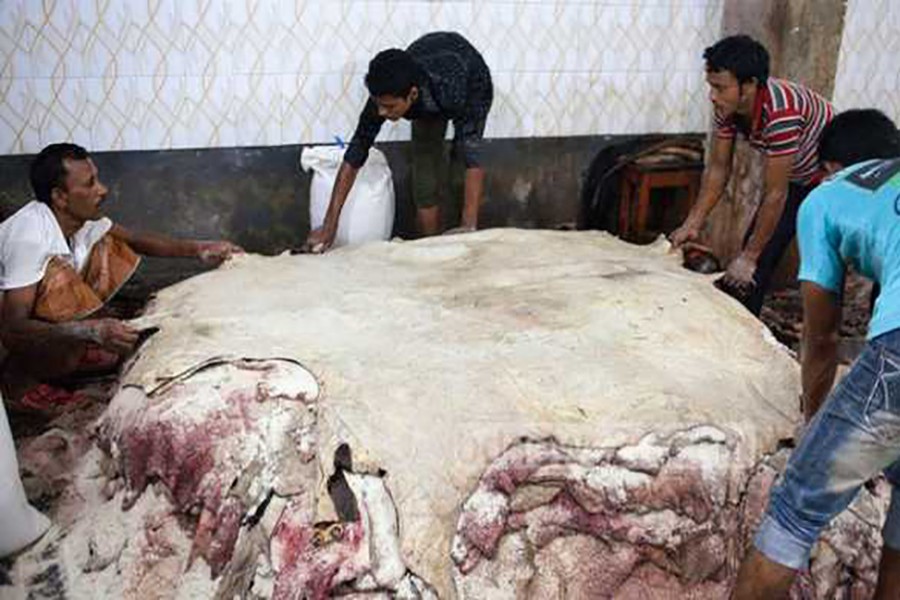 Govt to sit with traders Thursday to fix prices of rawhide