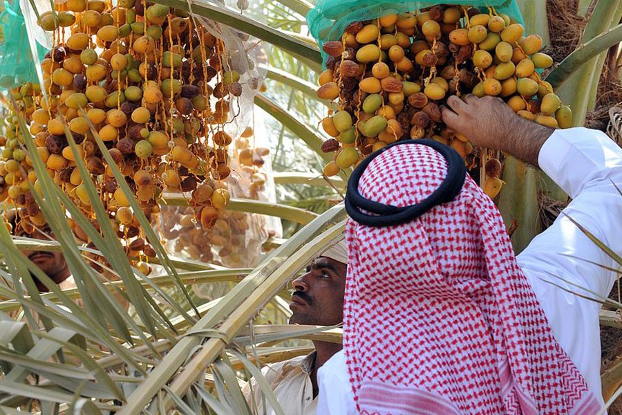 Country receives 200mt dates from Saudi Arabia