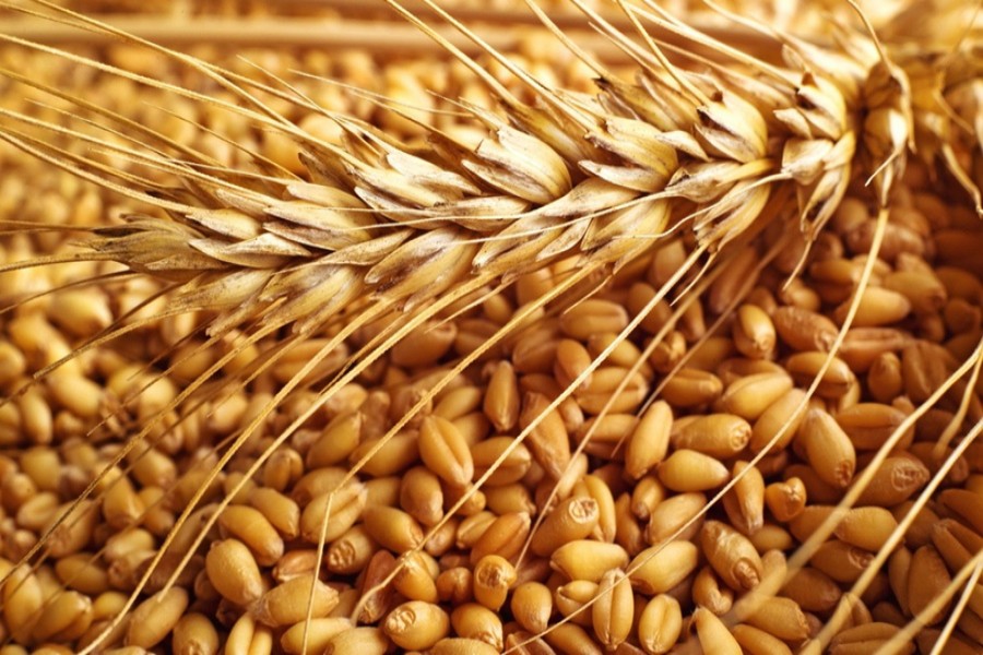 Bangladesh to increase wheat imports 10pc in 2018/19