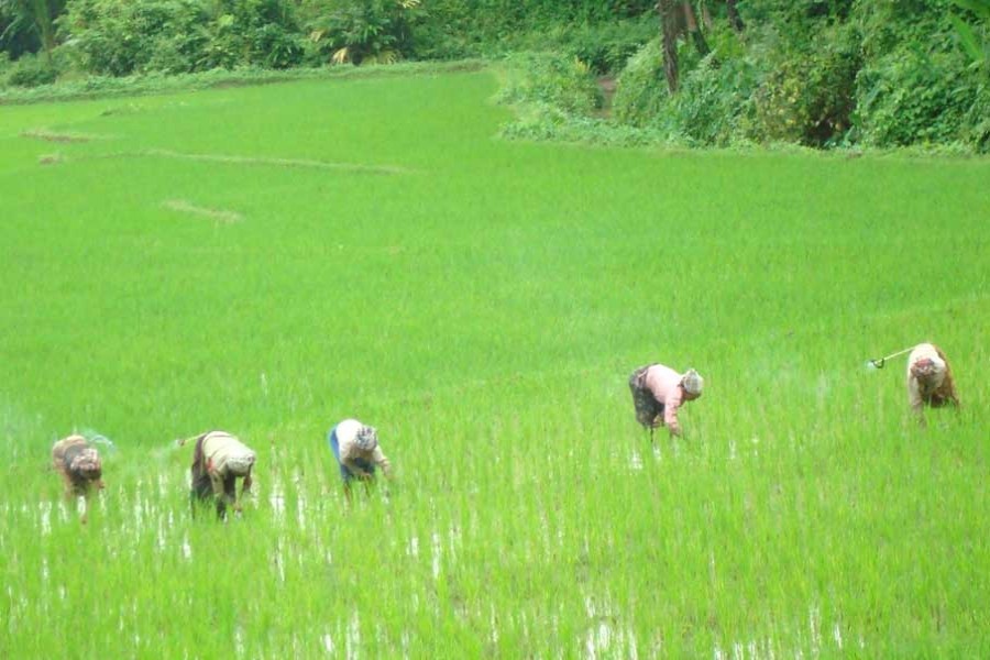 Land and leasing: Changing contractual arrangement