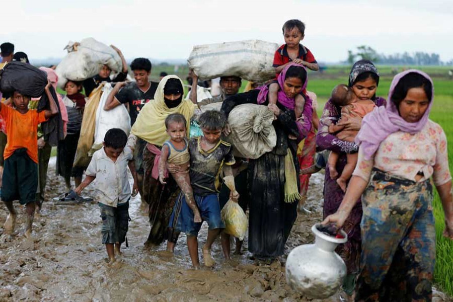Biodiversity of Cox’s Bazar at risk due to Rohingya influx: UN