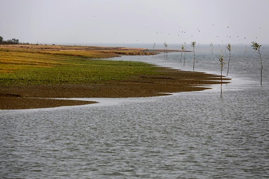 PM to inaugurate Bhasan Char project on October 4