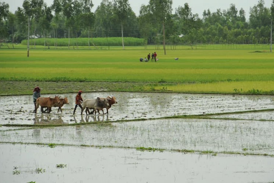 Shrinking farm land