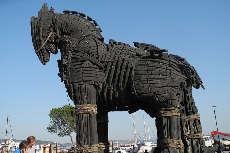 Stealth drug targets superbug through Trojan Horse. This picture shows the 12-ton fiberglass Trojan Horse, used in the 2004 film Troy. Photo: Collected