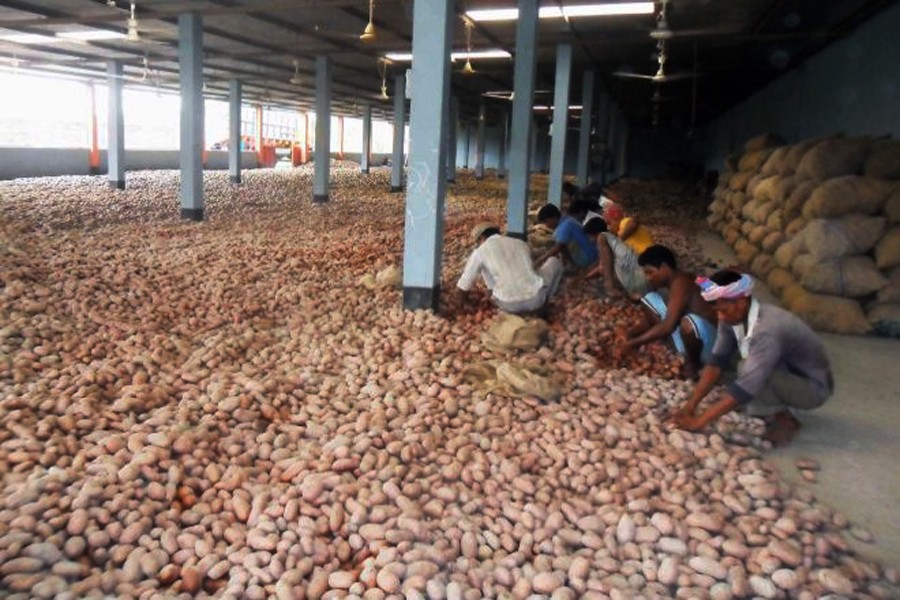 Labourers working at a cold storage in Rajshahi    	— FE Photo