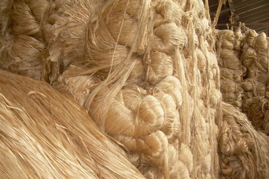 Raw jute crisis hampers production at Khulna-Jashore region mills