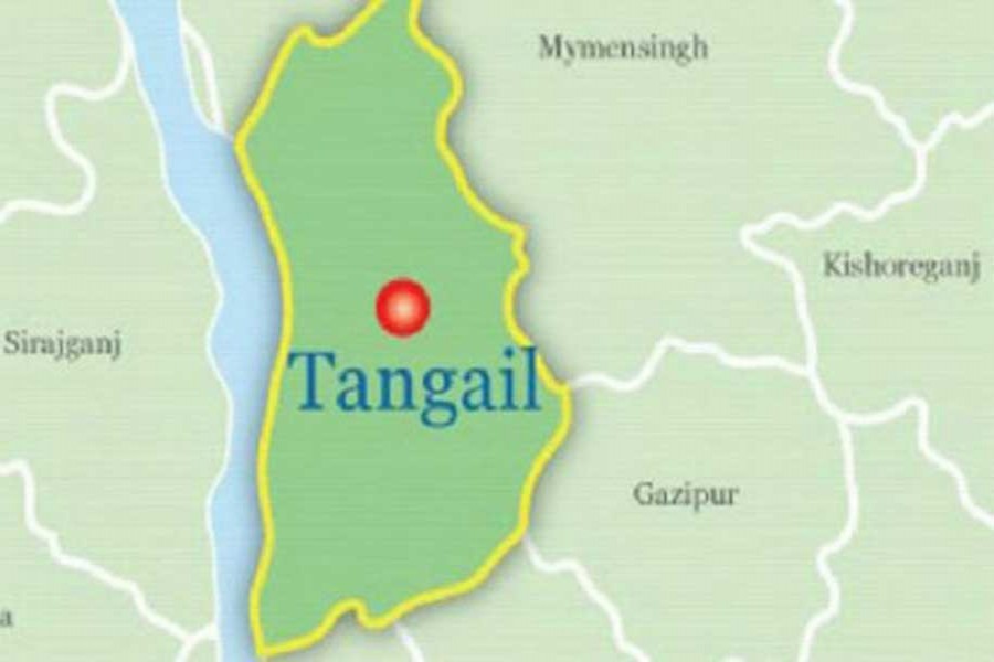 Husband, wife killed in Tangail road accident