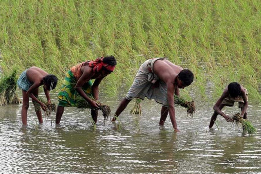 The disappearance of farmlands