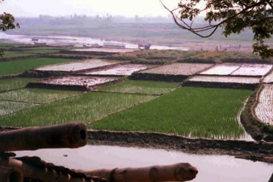 Arable land acreage falls on grabbing, acquisition