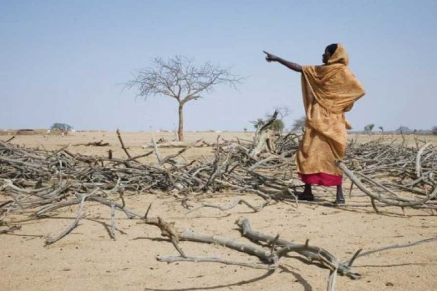 Developing countries, especially those from Africa, want the elements of the Paris rulebook to be as unambiguous as possible to avoid past deliberate oversights that have rendered impotent previous pacts aimed at addressing climate change. 	 —Photo: Anne Holmes/ GraziaNeri, Italy/IPS