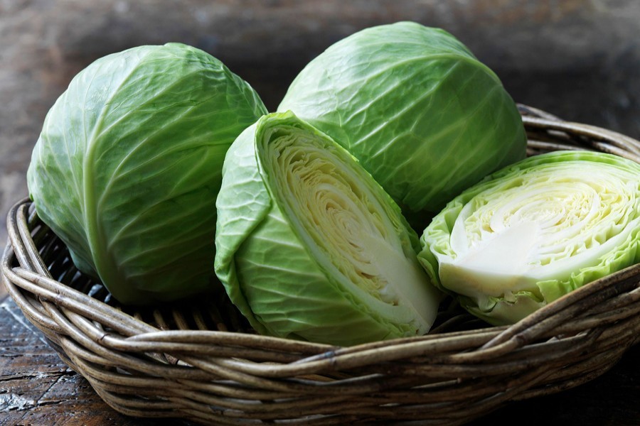 Cabbage export to grow more than double this winter