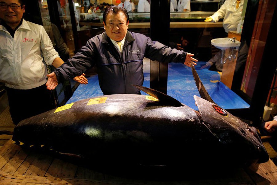 Kiyomura Co's President Kiyoshi Kimura (C), who runs a chain of sushi restaurants Sushi Zanmai, poses with a 278kg bluefin tuna, priced with a 333,600,000 yen bid at the Toyosu fish market's first tuna auction this year at his sushi restaurant in Tokyo, Japan, January 5, 2019 - REUTERS/Kim Kyung-Hoon