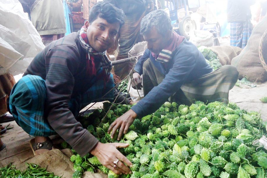 A bitter gourd seller waiting for buyers on Dhaka Road in Magura town 	— FE Photo